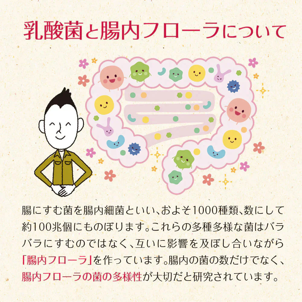 乳酸菌 サプリメント 粉末 33種の乳酸菌 30包入り 乳酸菌 メール便 送料無料 ダイエット 腸活