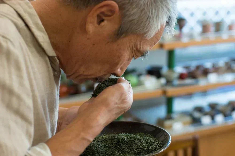 訳あり静岡茶100g×3 茎入茶葉 お茶 お茶の葉 日本茶 緑茶 一番茶 カテキン緑茶 深蒸し茶 お徳用 業務用【エコ得】