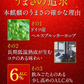 キリン 本麒麟 500ml×2ケース