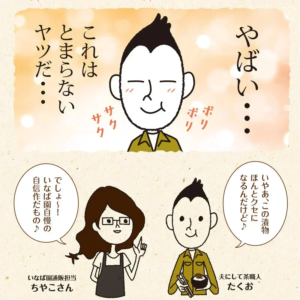 【5個セット】日本橋いなば園 国産きゅうり醤油漬け 100g メール便送料無料