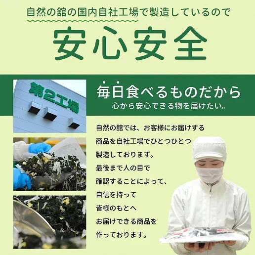 寒天海藻サラダ メガ盛260g（チョレギサラダの塩だれドレッシングつき） 送料無料