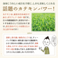 【10個セット】日本橋いなば園 プレミアムティーバッグ緑茶 2g×20包 ヤマト宅急便発送 お茶 ティーバック ギフト 贈り物 プレゼント 香典返し お礼 お茶 ティー ティーパック パック プチギフト 贈物 新居祝い 引越し 茶匠庵 いなば園