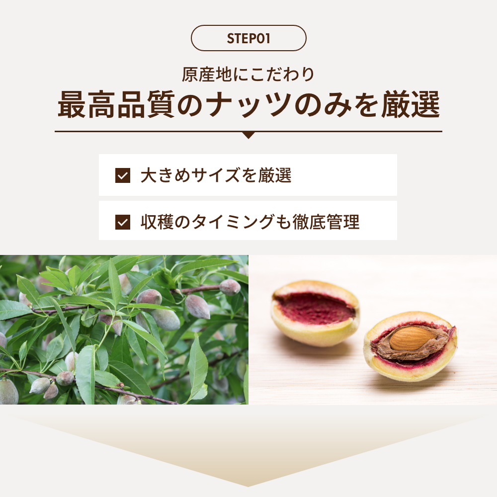 素焼きアーモンド 500g 無塩・無油・無添加 ローストアーモンド 賞味期限：2024年11月26日 カウシェ限定 ｜ オーガライフ
