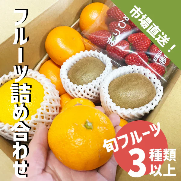 国産 フルーツ詰め合わせ ３種類以上 旬フルーツ 和歌山県産 詰め合わせ セット ギフト 贈答