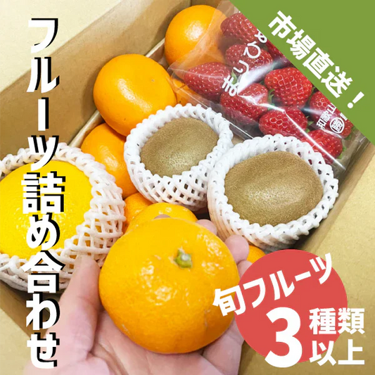 国産 フルーツ詰め合わせ ３種類以上 旬フルーツ 和歌山県産 詰め合わせ セット ギフト 贈答