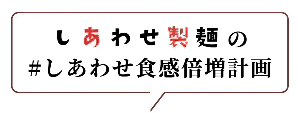 うどん 讃岐うどん 熟成うどん 約６人前 600g (300gx2袋) つゆ付き 送料無料 本場讃岐 純生熟成うどん 太麺 うどん お取り寄せ jukusei6-tuyu