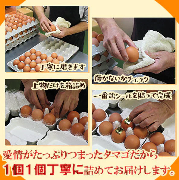 鶏肉専門店の朝引き朝どりセット　水郷どり１羽分 (もも肉2枚 胸肉2枚 ささみ2本) ＋放し飼い自然卵 (5個＋破損補償1個)