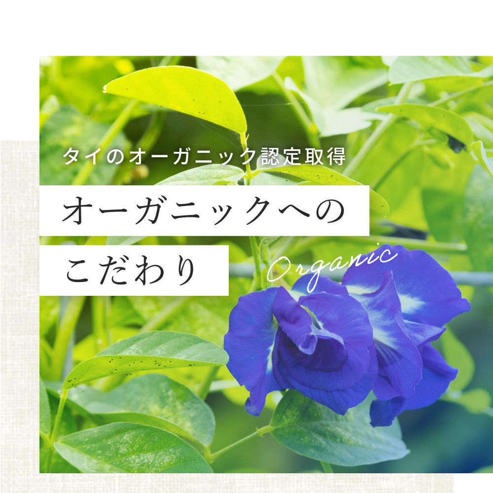 バタフライピー 無農薬 茶葉 50g 2袋 京都お茶工場製造 ハーブティー ノンカフェイン 無着色 無香料無農薬 青いお茶 青い花 蝶豆花茶 映え タイ ブルー ハーバルティー アントシアニンが豊富 エイジングケア 美容 健康 天然色素 オーガニック