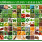 野草酵素《約1ヶ月分》酵素サプリ/サプリ/酵素ダイエット/サプリ/酵素サプリメント/ダイエット サプリ/ダイエット 酵素/