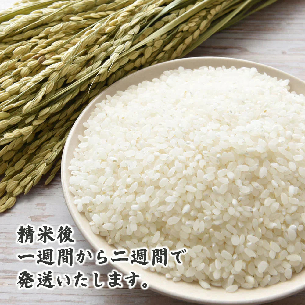 【白米】匠の一粒 コシヒカリ 30kg(10kg×3袋) 国産 国産コシヒカリ(ブレンド)100％ 送料無料 精米工場からの直送品