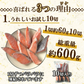 銀鮭 定塩 甘塩 切身 10切入り 約600g 送料無料 チリ産 骨付き 1切60-70g 訳あり 鮭 切り身 冷凍 しゃけ さけ 魚 惣菜 焼くだけ 調理 簡単 焼き魚 焼魚 おかず 酒の肴 つまみ お弁当 食品