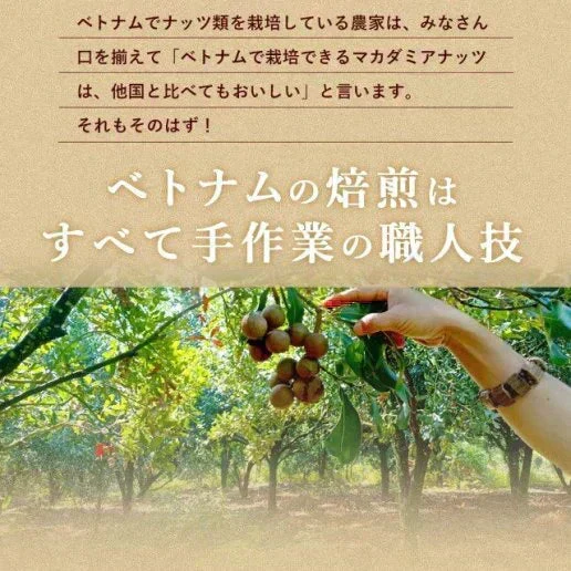 殻付きマカダミアナッツ 300g 送料無料