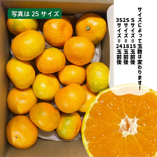 和歌山県産 ハウスみかん 約1kg  3S〜Sサイズ 有田産 ハウス みかん お中元 ギフト 贈答用