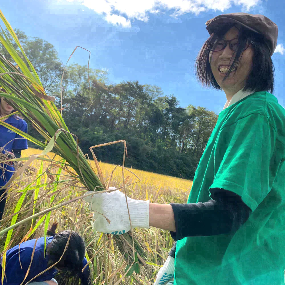 【精米セット】秋田県産あきたこまち 900g & ミルキークイーン 900g 令和5年産【古代米プレゼント付き】
