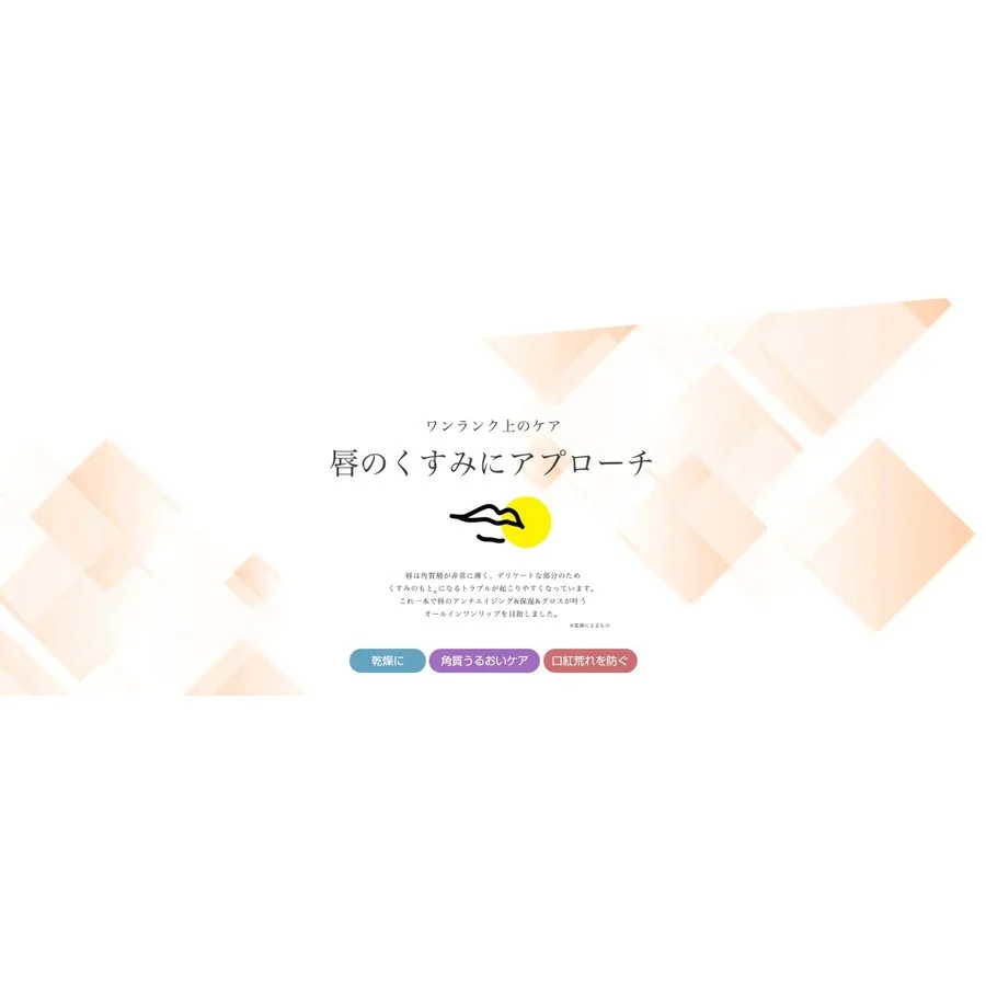 2個セット V BLOCK LIP MASK ブイブロックリップマスク（ リップ リップクリーム ）