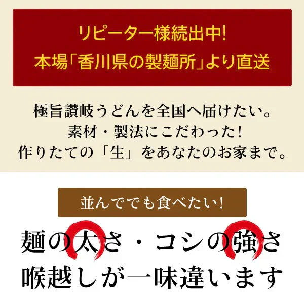 本場生讃岐うどん 専用醤油付セット 【平切り麺】 6人前 (300g×2袋) 送料無料 生うどん しょうゆうどん 簡単調理 鎌田醤油 人気 麺 讃岐 うどん 本場 純生 香川県 生麺 めんつゆ こだわり