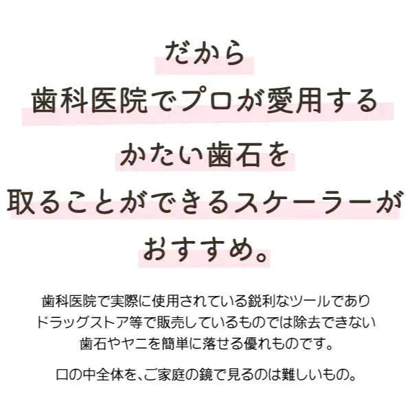 歯石取り 歯石除去 ヤニ取り 歯科専売 両頭鎌型スケーラー H5-33 1本 ／ 実際に歯科医院で使用されているプロ仕様！ 【メール便送料無料】