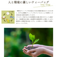 ゴクゴクすっきり 深蒸し ティーバッグ 100個入 みずたま農園製茶場 緑茶 水出し 国産 お茶 ティーパック 日本茶 緑茶 深蒸し茶 煎茶 水出し緑茶 国産 静岡 静岡茶 牧之原 送料無料 大容量 メール便