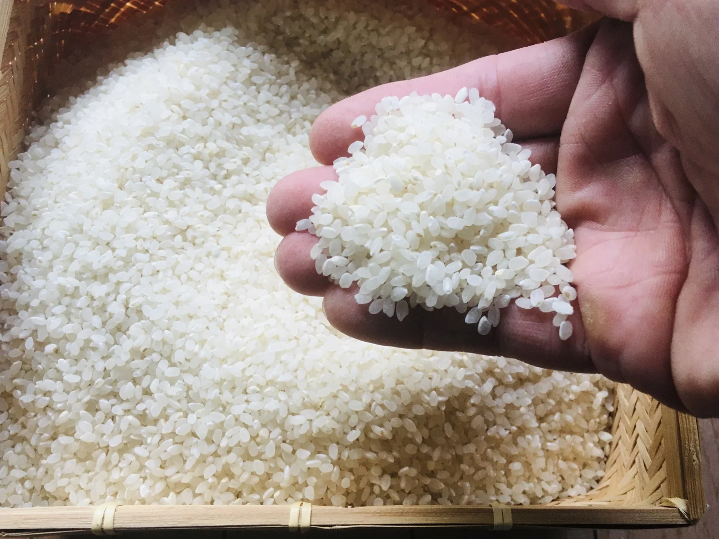 【1日5点限定販売!!】新米 北海道 富良野産 ゆめぴりか 5kg ちにたふぁーむで作ったお米
