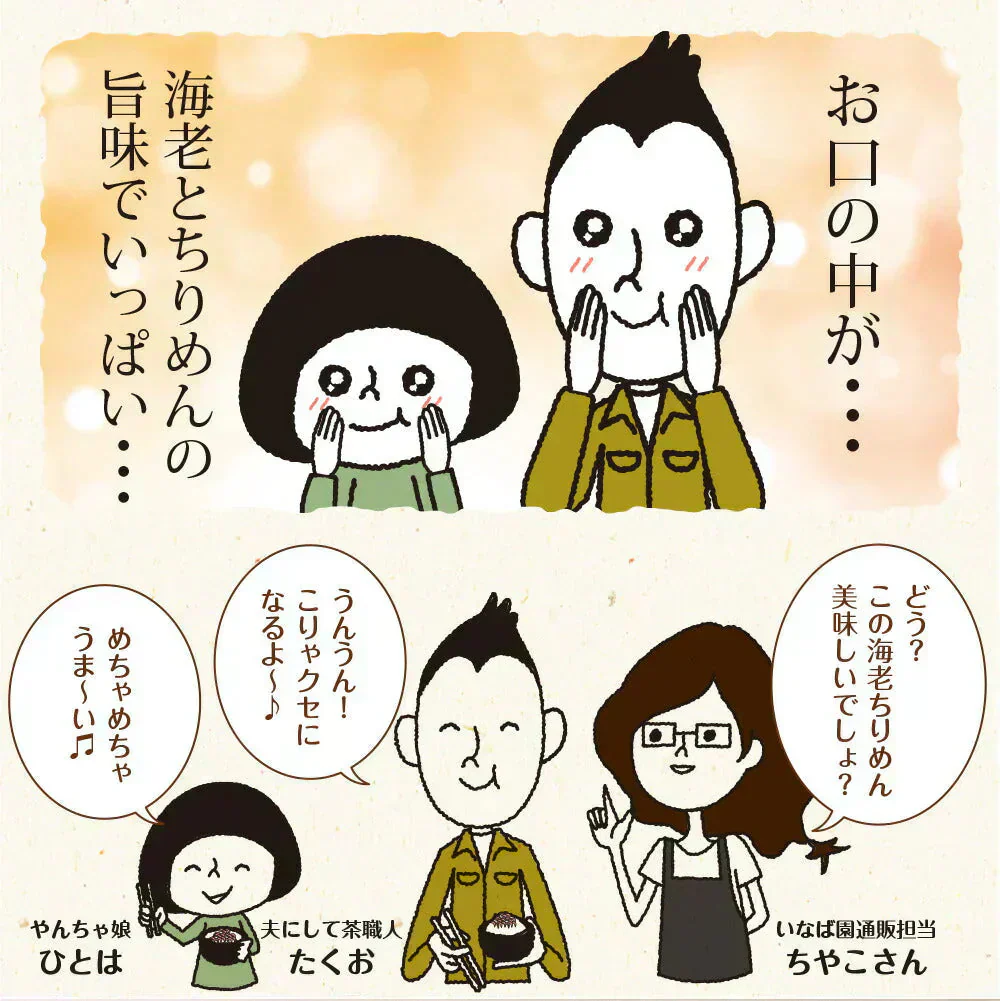 【3個セット】日本橋いなば園 国産海老ちりめん 30g ネコポス メール便送料無料