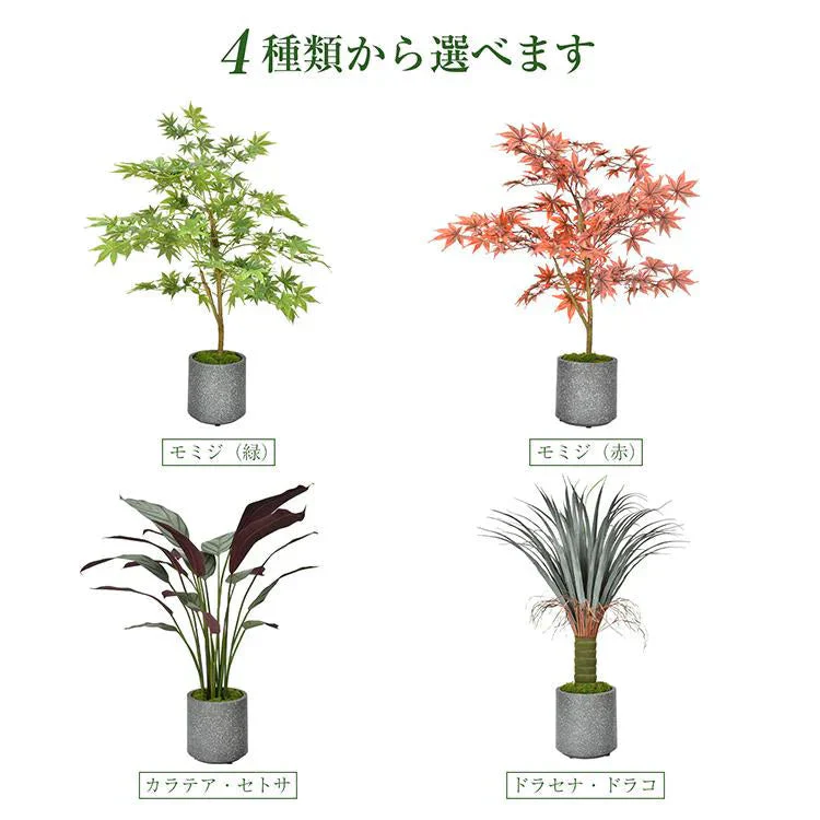 フェイクグリーン 「モミジレッド」 観葉植物 大型 人工観葉植物 リアル フェイク グリーン インテリア 飾り用 撮影用 部屋飾り 造花 お祝い プレゼント おしゃれ