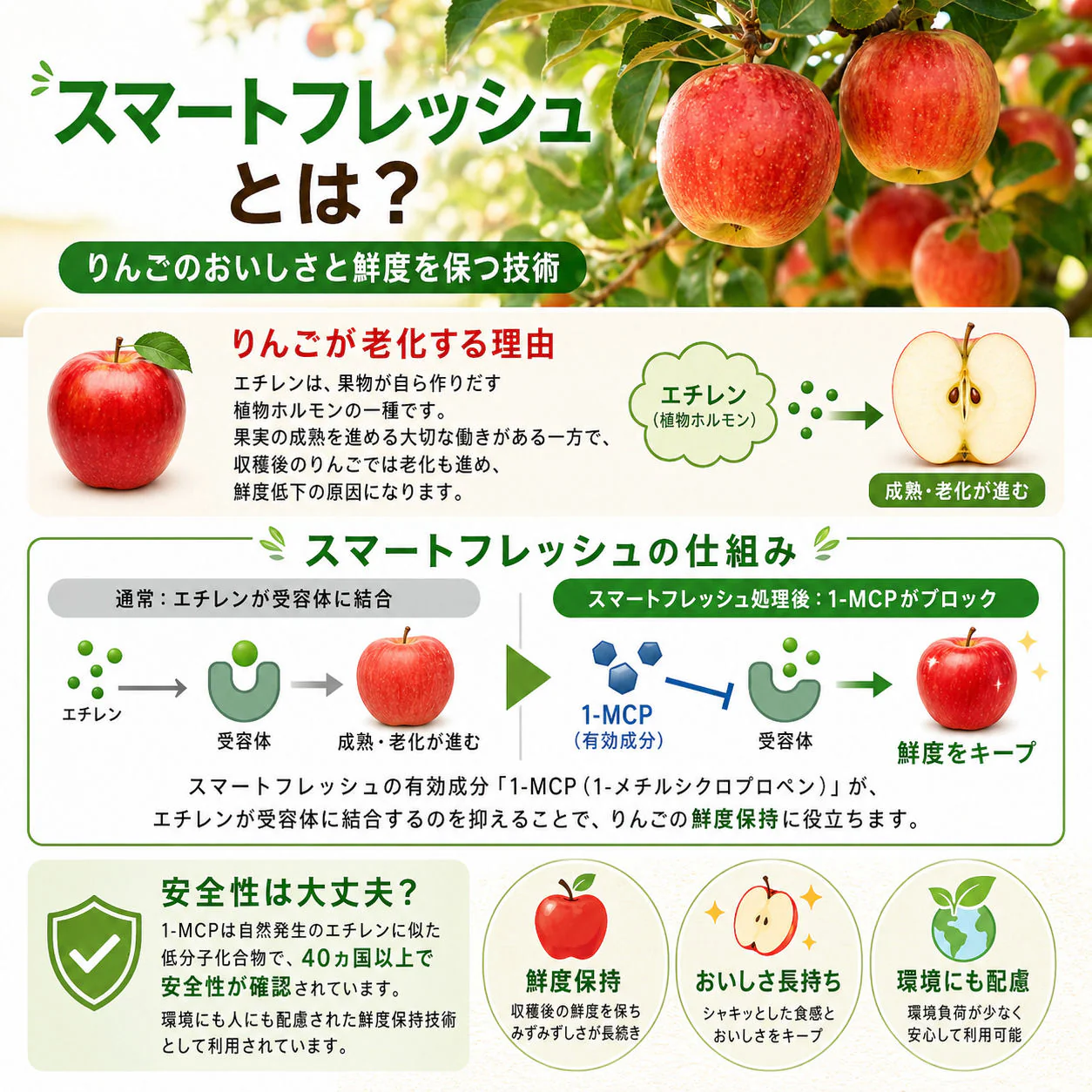 クール便　青森県産　訳あり　りんご　スマートフレッシュ！　有袋ふじ　22-46玉　10kg　　送料無料！