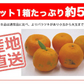 ポンカン 訳あり 愛媛 5kg 送料無料 ご家庭用 箱買い サイズミックス みかん 蜜柑 産地直送 愛媛県産 YDF-003