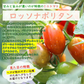 【8月初旬から発送】ミニトマト ロッソナポリタン 1kg イタリアントマト フルーツトマト 高糖度トマト とまと 山形県産
