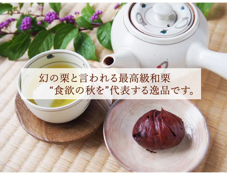 【9月下旬～10月上旬頃より順次出荷】利平栗 栗 送料無料 1kg L～2L クール便 熊本県産 幻の高級和栗 生栗 くり クリ 渋皮煮