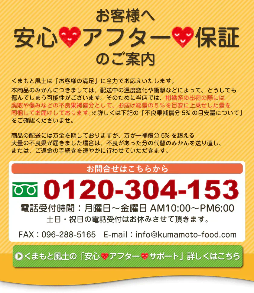 産地直送 熊本県産 みかん 訳あり 送料無料 熊本ミカン 大玉 小玉 不選別 規格外 果物 柑橘 九州 訳アリ 蜜柑 みかん 3-7営業日以内に発送予定（土日祝除く）