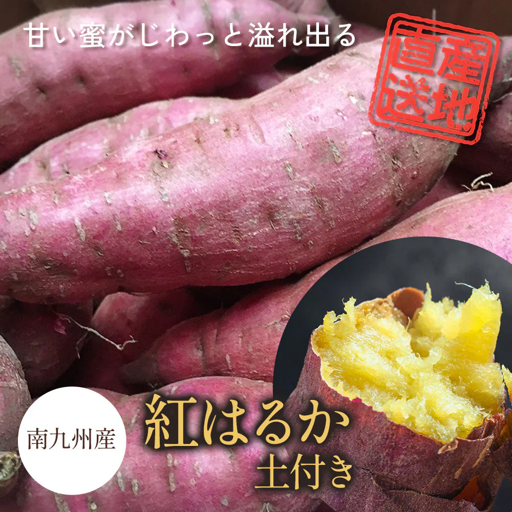 紅はるか さつまいも 5kg 産地直送 産直 土付き さつま芋 薩摩芋 焼きいも 焼き芋 石焼き芋 芋 いも イモ 南九州産  FJK-000