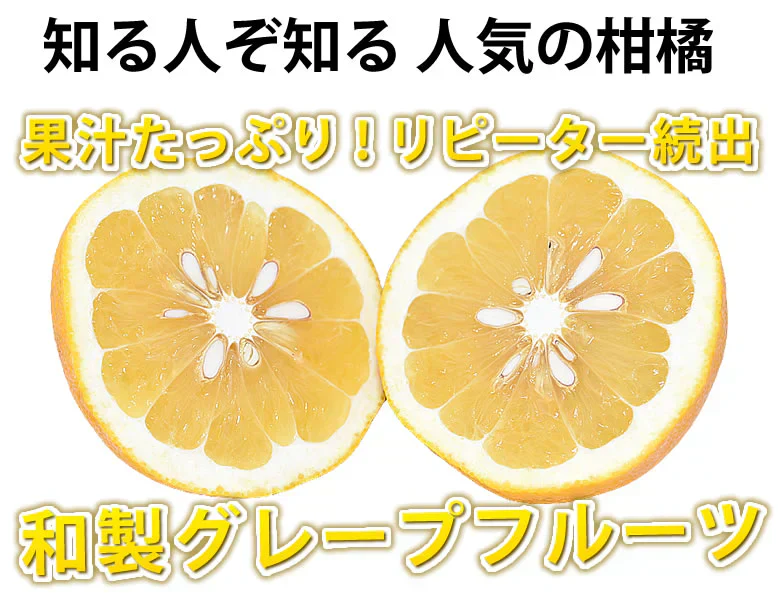 河内晩柑 みかん 送料無料 秀品 5kg M～2L 和製グレープフルーツ お取り寄せ 熊本県産 ジューシーオレンジ 美生柑