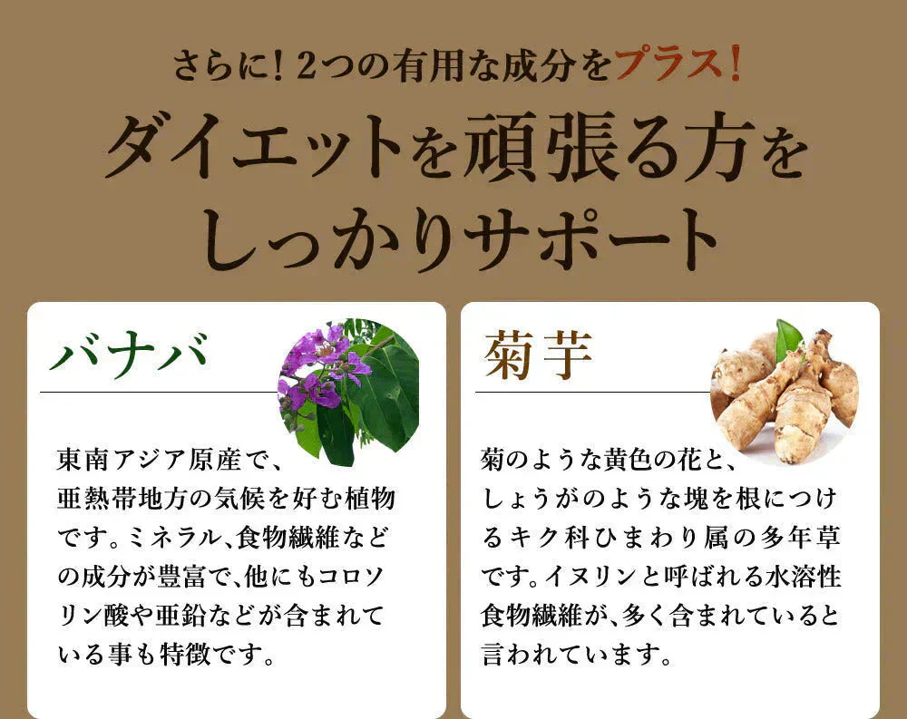 サラシア《約3ヶ月分》 送料無料 健康 サプリメント サプリ ダイエット サラシア  糖分 炭水化物【大容量】