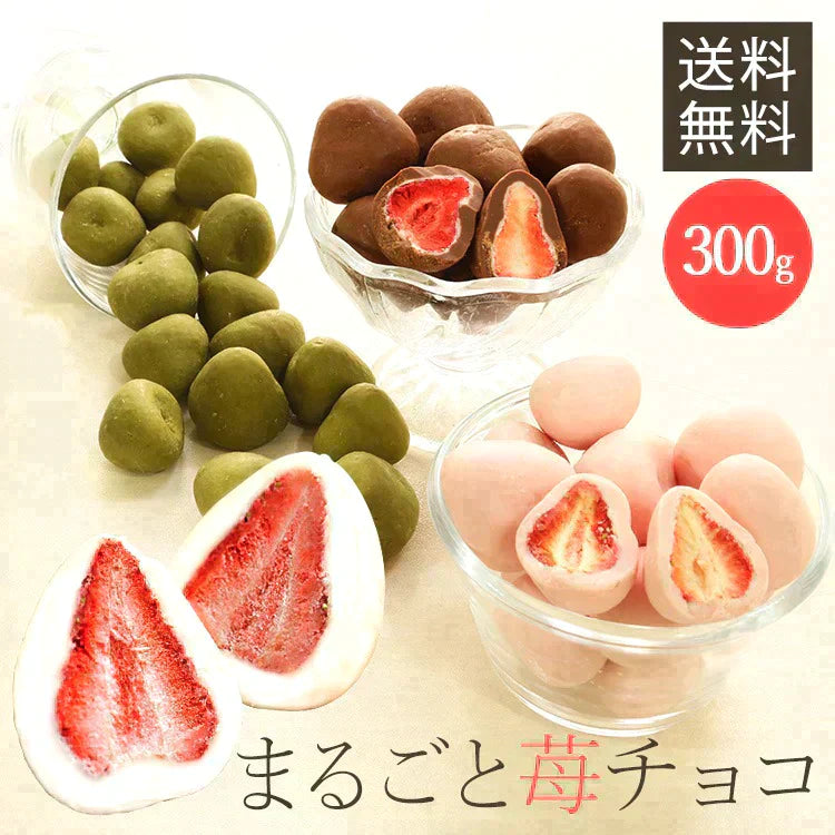 【カートアップNG】【訳あり】【賞味期限2023/6/3】まるごといちごチョコ 300g ストロベリーチョコ【エコ得】