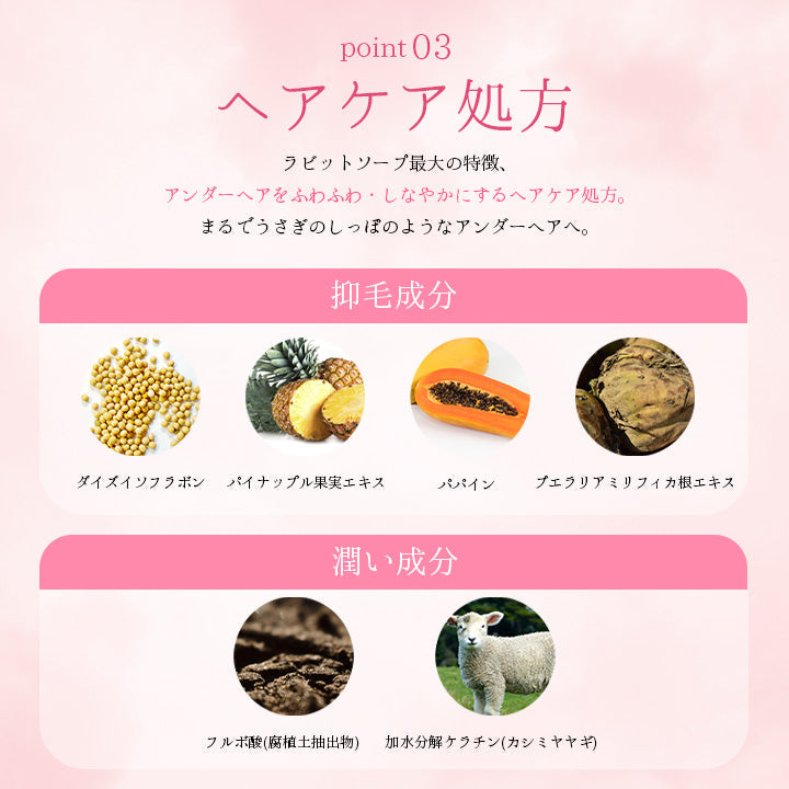 ラビットソープ rabbit soap 120ml デリケートゾーン アンダーヘア 日本製 フレグランス 泡タイプ デリケートソープ 2in1 ニオイ かゆみ 黒ずみ 低刺激