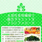 【大容量★約6ヶ月分】healthylife モリンガかぞく【乳酸菌 腸活乳酸菌 もち麦 腸活ダイエット 腸内細菌 腸内環境 腸内フローラ ポリフェノール 水溶性食物繊維 腸活ダイエット 野菜 スーパーベジタブル モリンガ末 乳酸菌 ラクトフェリン モリンガ おすすめ 人気 ランキング 効果 強力 最強 通販 日本製 国産 健康サプリ 健康食品