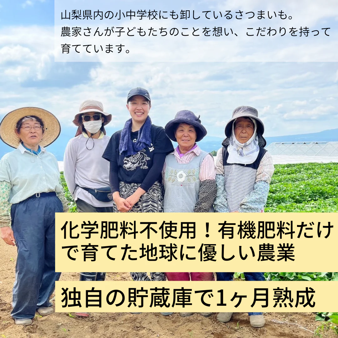 ひとくちこぐま-おきかえパック-