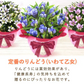 敬老の日 りんどう(いわて乙女)＆和菓子セット 【おいもや】（9月12日〜15日配送） KR