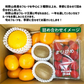 国産 フルーツ詰め合わせ ３種類以上 旬フルーツ 和歌山県産 詰め合わせ セット ギフト 贈答