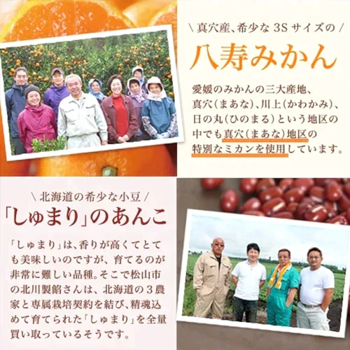 【特別特価】愛媛県産みかん大福6個セット(冷凍/賞味期限:5月中旬ごろ)