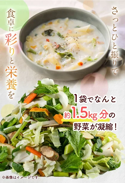 9種の国産野菜 乾燥野菜 完全無添加 完全国産 熊本県産 100g 野菜セット スープ 味噌汁 インスタント やさい 栄養 ドライベジ エアドライ 野菜 詰め合わせ 健康 ブドウ糖不使用《3-7営業日以内に発送予定(土日祝日除く)》