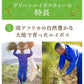 <98403>ゴールデングリーンルイボスティー50個入　水出し ティーバッグ ハーブティー ノンカフェイン お茶