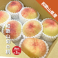 桃 訳あり 箱込み2kg 5〜9玉 和歌山県産旬の桃 ご家庭用 御中元 白鳳 川中島 清水 白桃 白鳳系 白桃系 家庭用