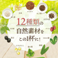 【最短当日出荷】★水出しOK★ルイボスティー　12素材のよくばりブレンド 100個入 （ 大容量  ブレンドティー ノンカフェイン はと麦 玄米 黒豆 とうもろこし ホット アイスティー ティーバッグ ティーパック )