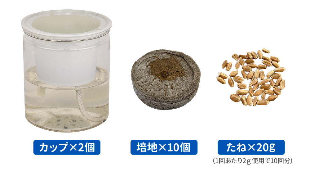 猫草 水耕栽培 ねこ草栽培セット（10回分）種20g ジフィ10個 容器2個[発送は翌年1月～となります。]