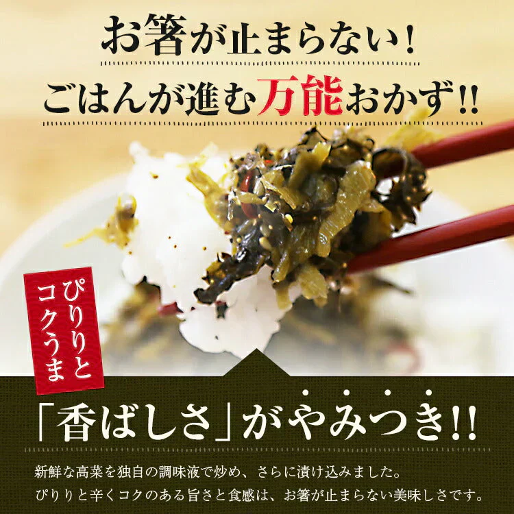 辛子高菜 250ｇ×2袋 送料無料 メール便 博多 福岡 帰省土産 旅行土産 おかず ご飯のお供 おつまみ お土産 ギフト ポイント消化