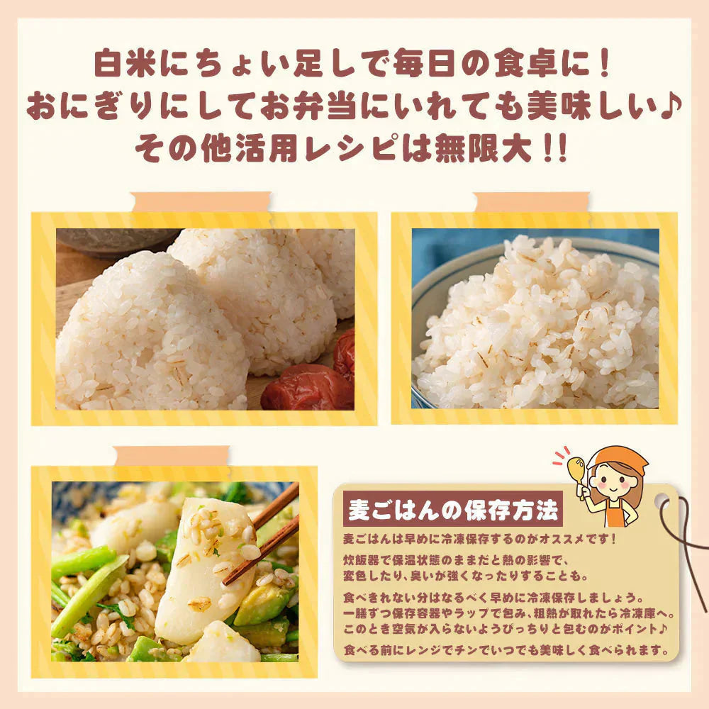雑穀 雑穀米 国産 胚芽押麦 800g(400g×2袋) 定番サイズ 無添加 無着色 送料無料