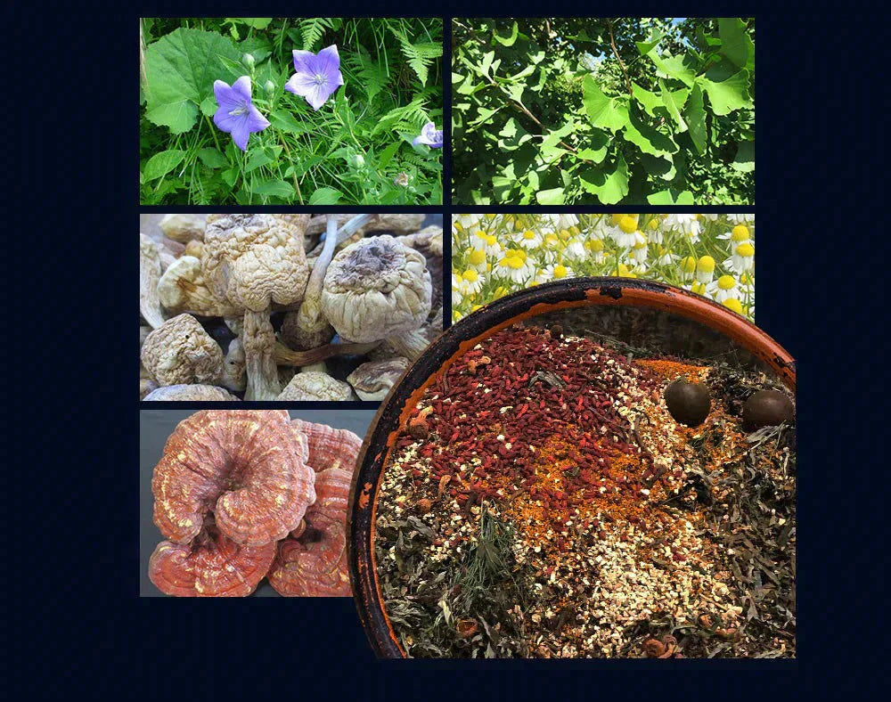 匠の野草酵素《約3ヶ月分》  送料無料 サプリ サプリメント 酵素 野草酵素 健康  スーパーフード 健康食品 野菜不足 乳酸菌 ダイエット 美容 ビタミン ビタミンC【大容量】