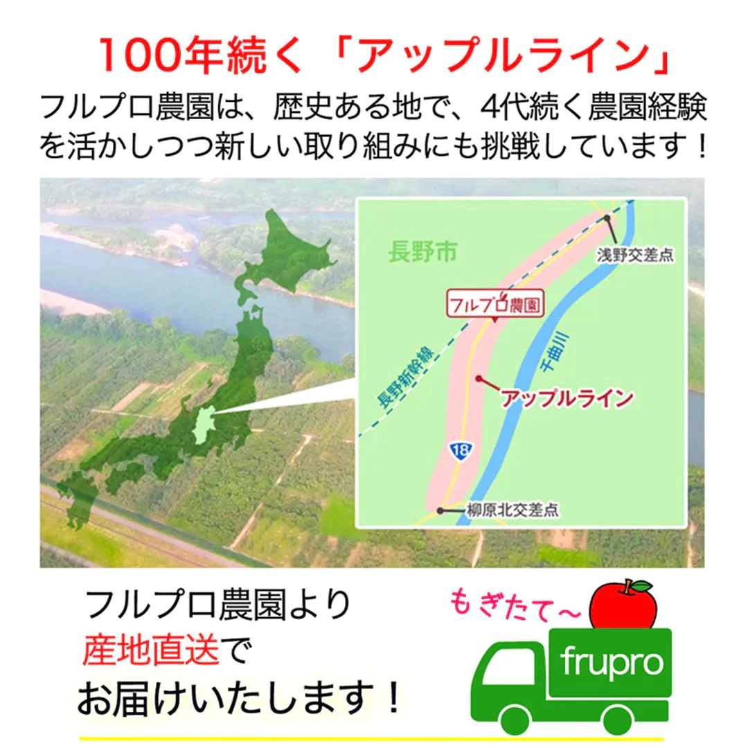 【2023年産予約開始！数量限定！】シナノゴールド 加工用 約2.5kg(7-16玉) パリっと歯ごたえジューシー 10月下旬頃発送開始予定 #YAG0K025