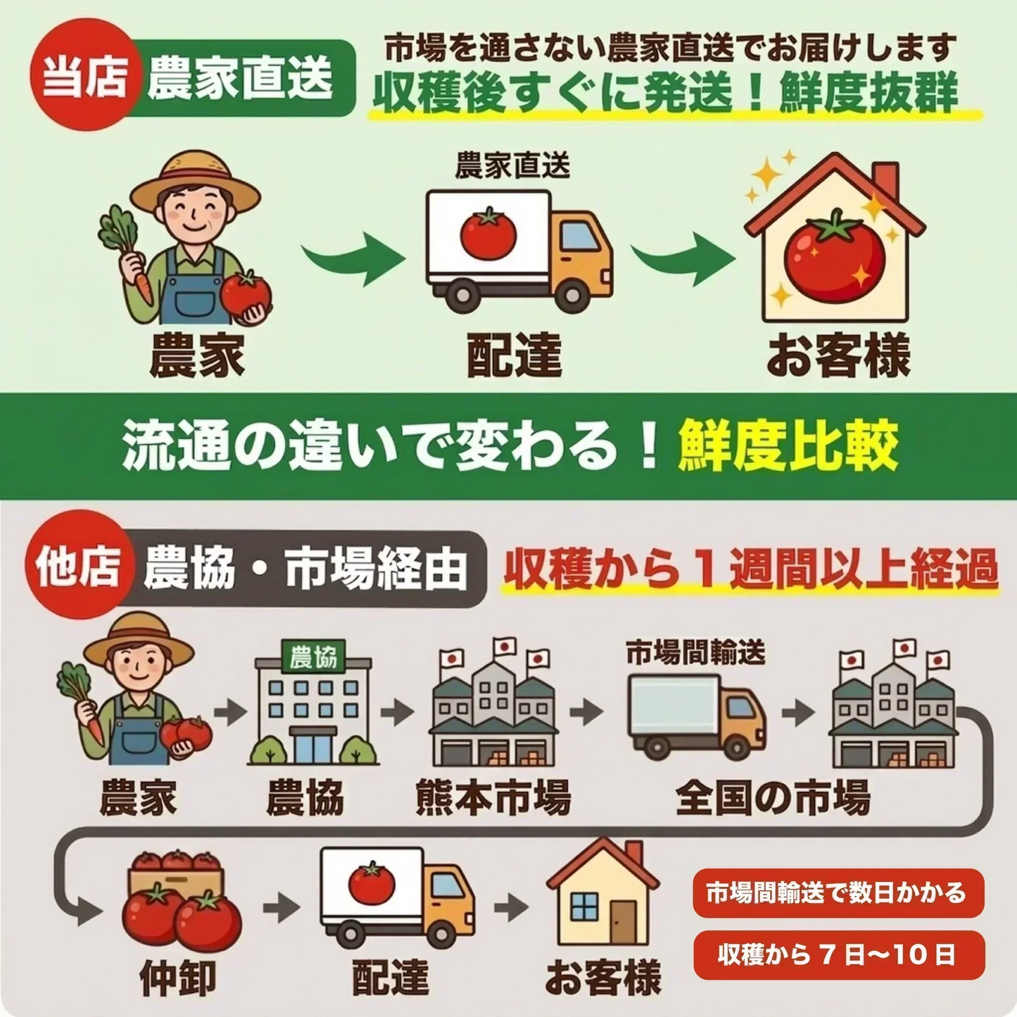 【１番早く届く！】【10月中旬頃〜12月末日までに発送】【予約】１番多い約450g！アイコ ミニトマト(280~300g+保証分150g)日本一の産地から農家直送 熊本県産 野菜 青果 フルーツ【カウシェファーム収穫対象商品】